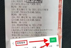 世预赛：土耳其VS格鲁吉亚今日(rì)赛果预测