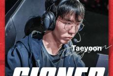 Scout重返LCK！加入NS組(zǔ)迷你战舰！有望(wàng)率队冲擊(jī)世界赛！