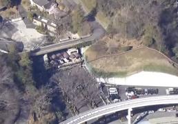 日本一动物园发生狼逃脱事件，已暂停游客入园