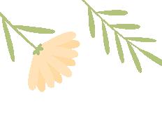 暑期关爱 | 清远妇联暑期关爱活动精彩集锦