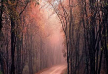 LOL选手加盟引热议 这款游戏的策略更胜一筹 (1)