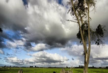 塔赞与卡尔续约成功，AL保持原阵容，BLG与JDG争夺Viper的背后故事