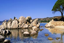 TA：威尔希尔已无望以教练身份回归阿森纳青(qīng)训营